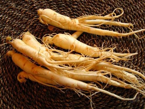 ginseng root to increase efficiency 60