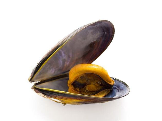 Due to the high zinc content, mussels improve the quality of sperm